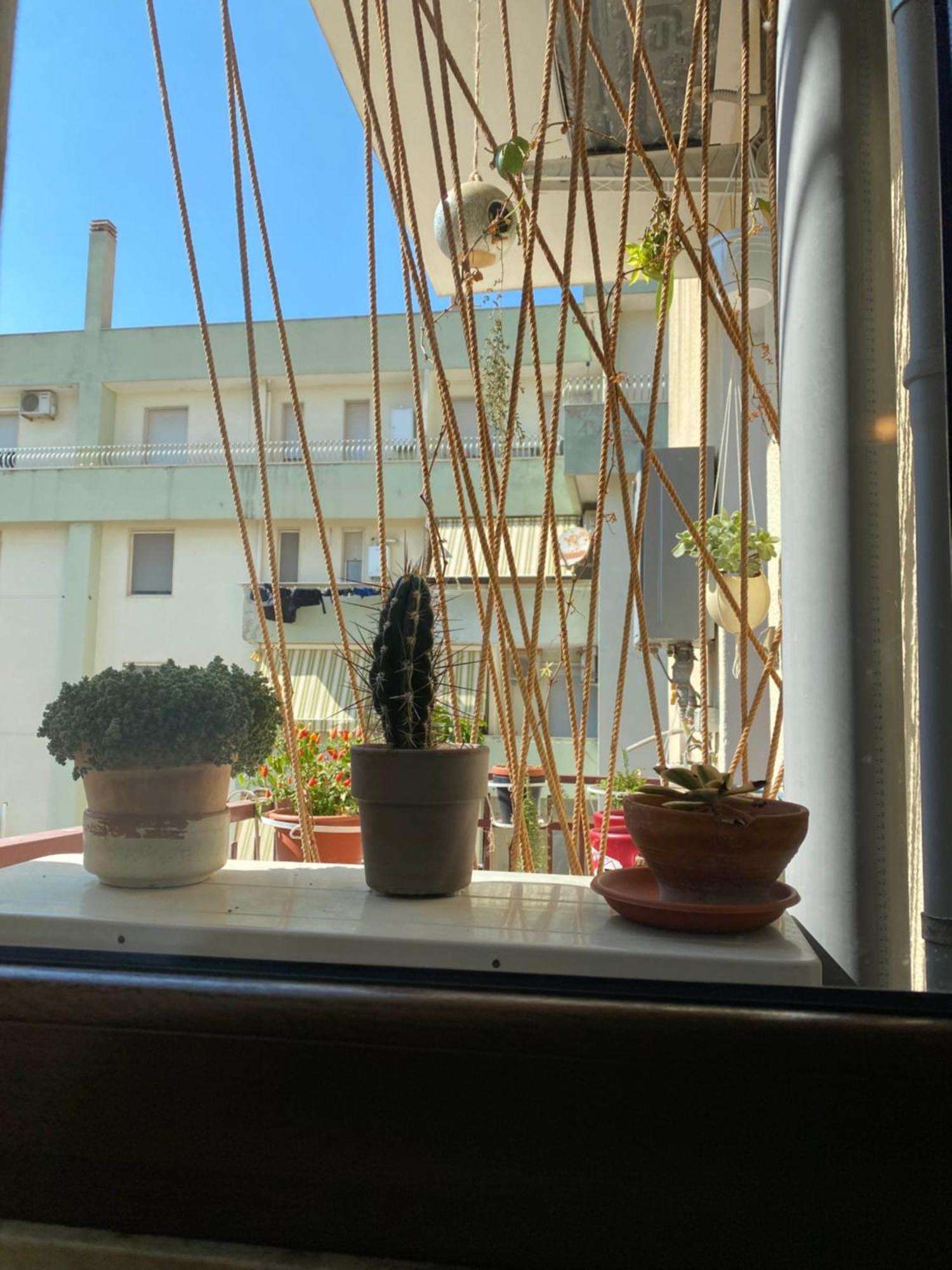 S'Accabbadora Guest House ألغيرو المظهر الخارجي الصورة